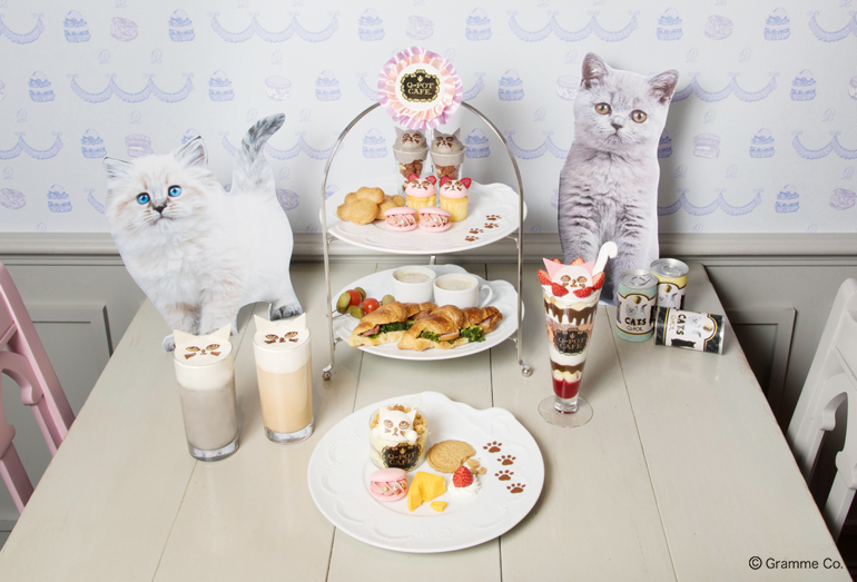 Q-pot CAFE.がニャンと”ネコ”カフェになっちゃった！？ | Q-pot.